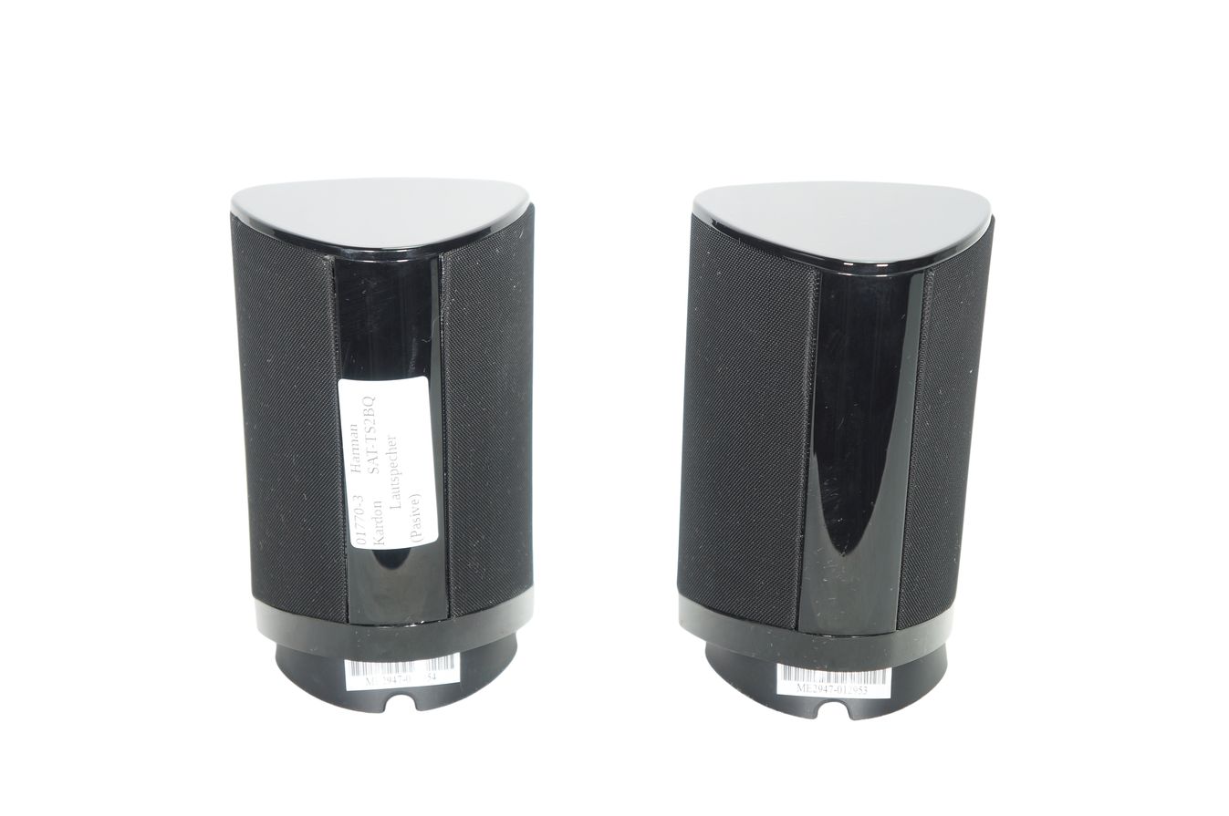 2x_Harman_Kardon_SAT-TS2BQ_Lautsprecher_mit_Kabeln_03_result