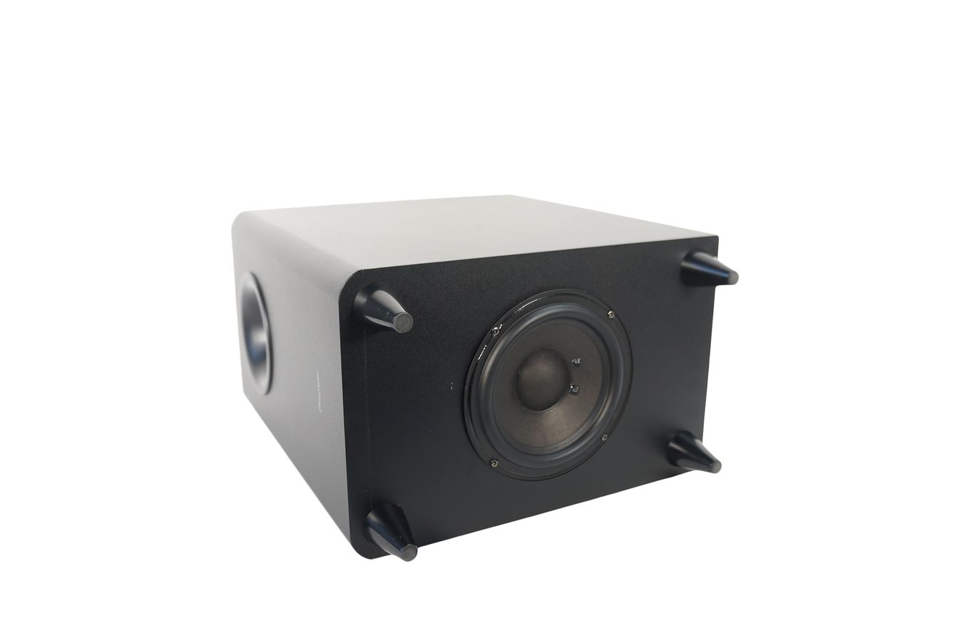 Pioneer_S-22W-P_160_W_Peak-100_W_RMS_Subwoofer_Schwarz_07_result