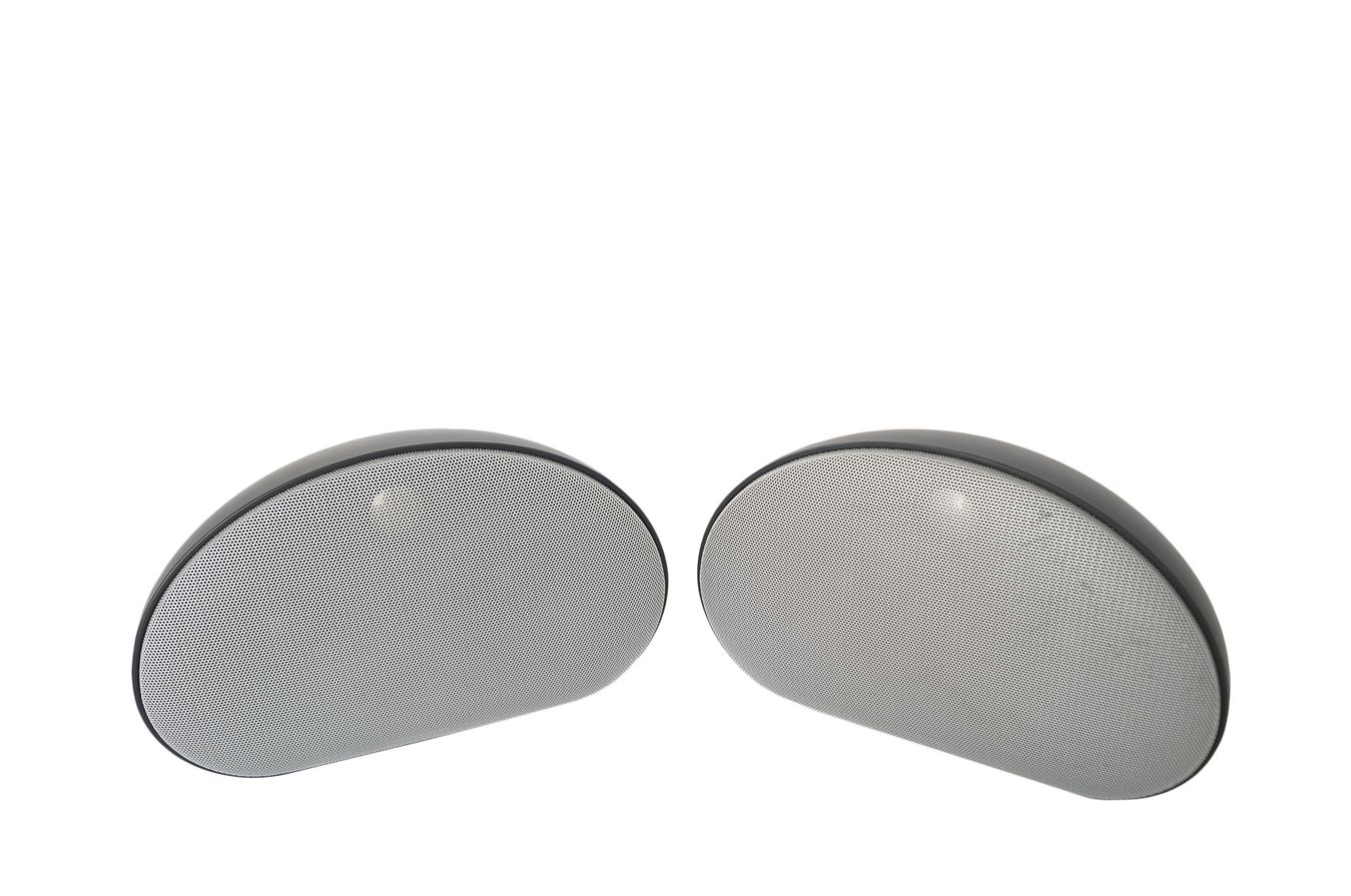 2x_Teufel_The_Egg_FCR_Lautsprecher_Silber_result