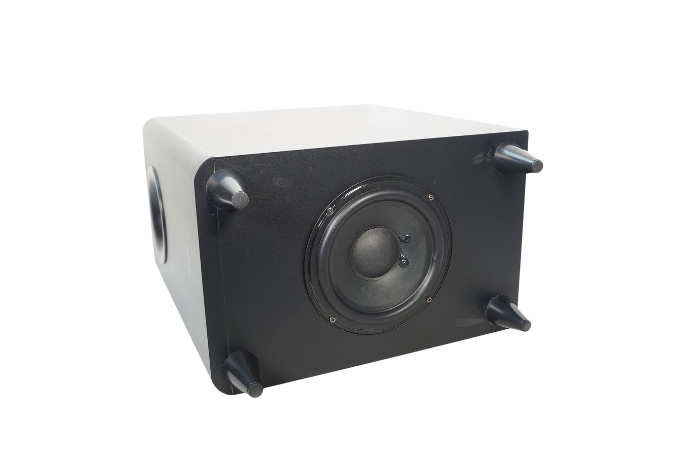 Pioneer_S-22W-P_160_W_Peak-100_W_RMS_Subwoofer_Schwarz_06_result
