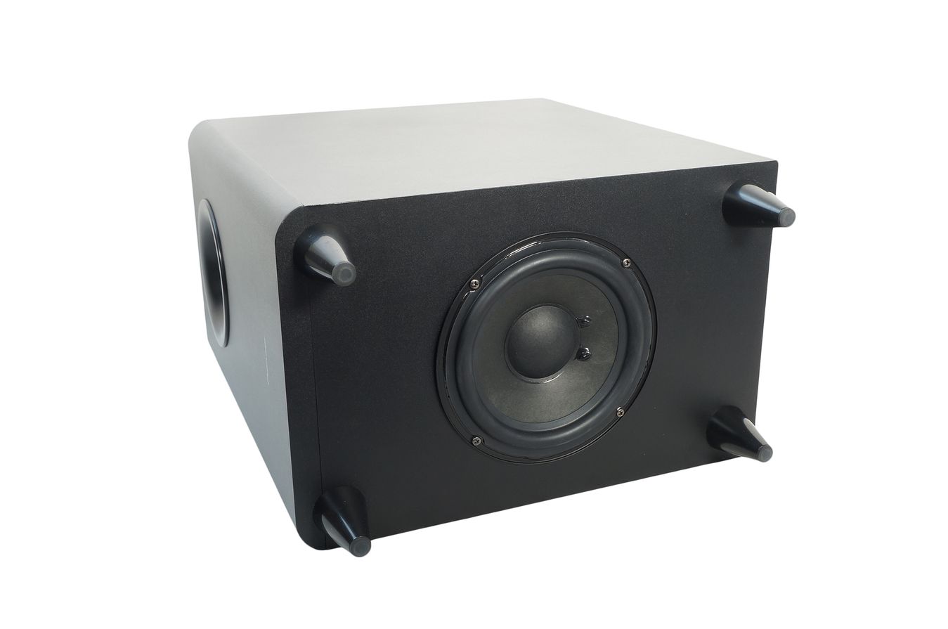 Pioneer_S-22W-P_160_W_Peak-100_W_RMS_Subwoofer_Schwarz_06_result